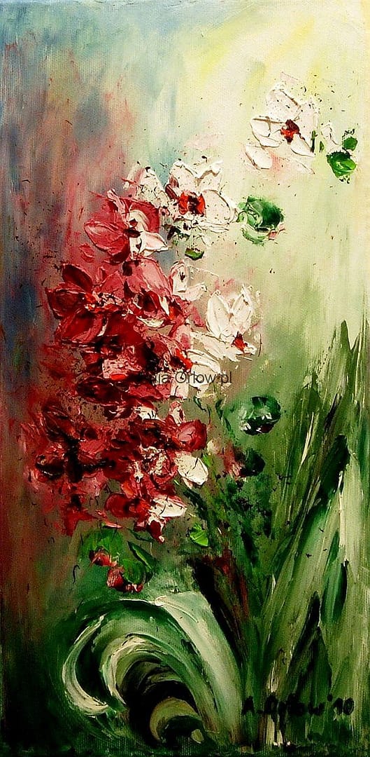 Orchidea