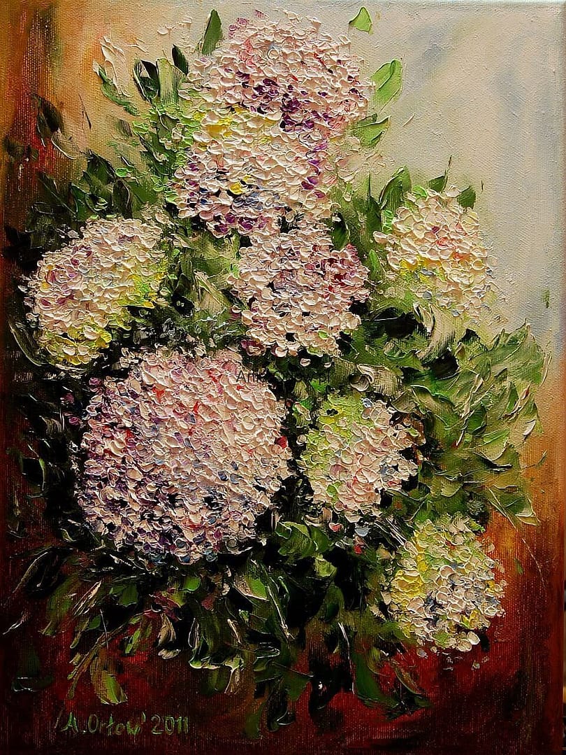 Hortensje