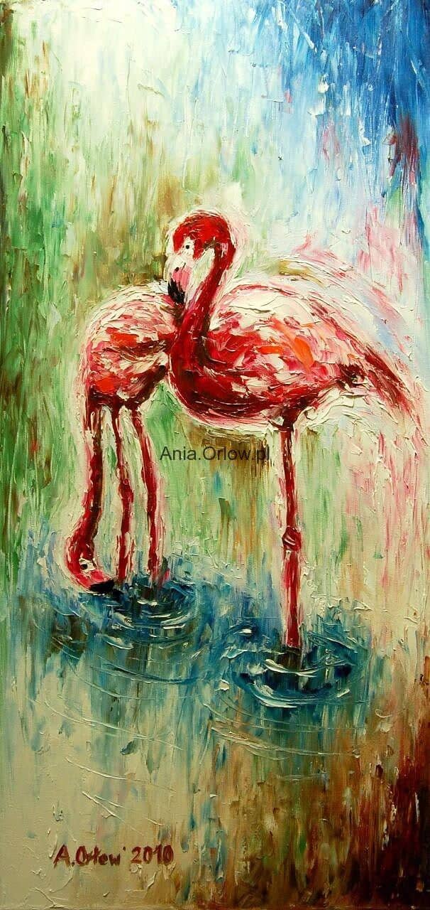 Flamingi