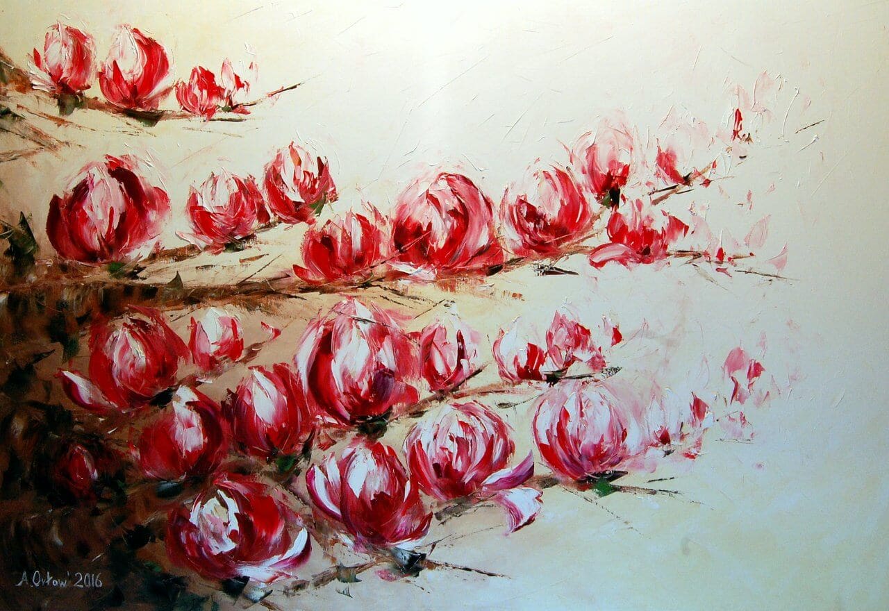 Magnolie Poziome